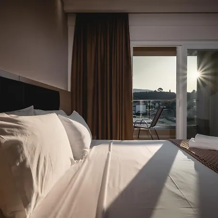 Vice Hotell 3*